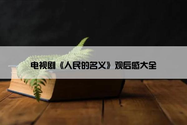 电视剧《人民的名义》观后感大全