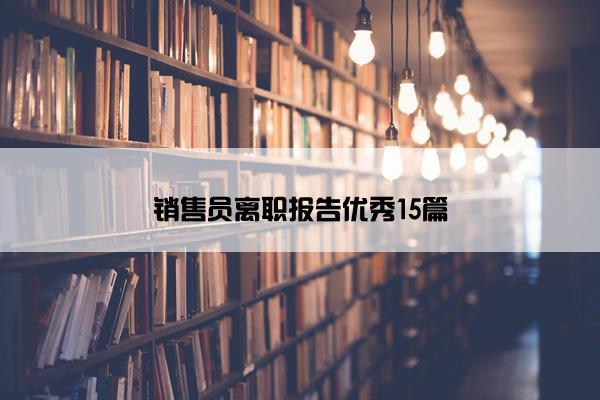 销售员离职报告优秀15篇