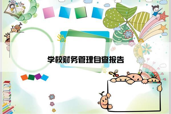 学校财务管理自查报告