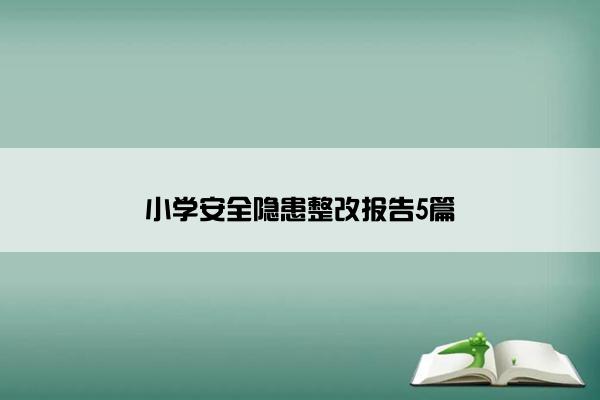 小学安全隐患整改报告5篇
