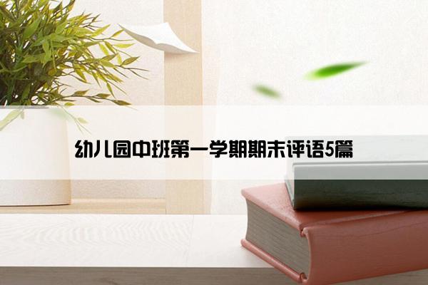 幼儿园中班第一学期期末评语5篇