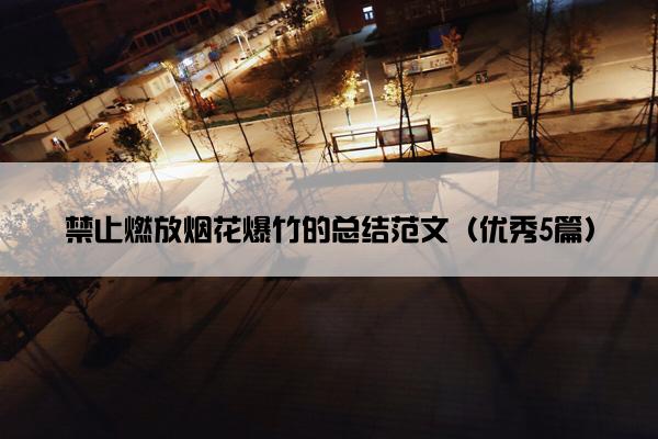 禁止燃放烟花爆竹的总结范文（优秀5篇）