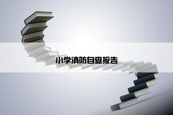 小学消防自查报告 小学消防自查报告