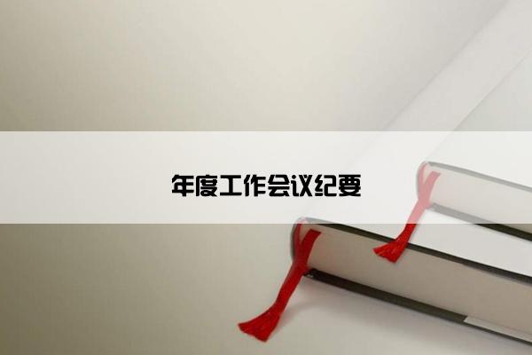 年度工作会议纪要