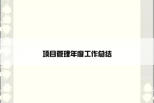项目管理年度工作总结