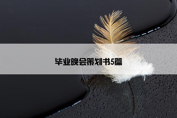 毕业晚会策划书5篇