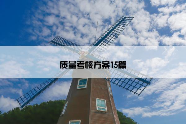 质量考核方案15篇