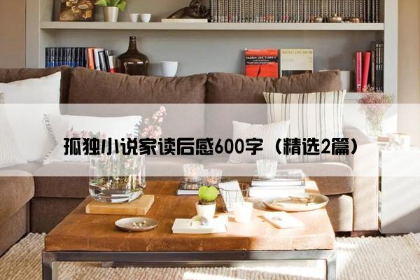 孤独小说家读后感600字（精选2篇）