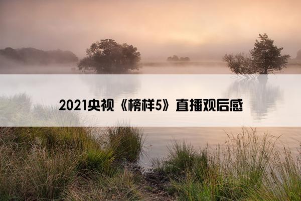 2021央视《榜样5》直播观后感