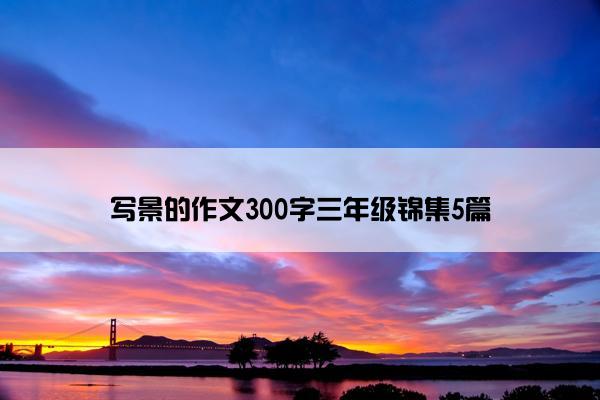 写景的作文300字三年级锦集5篇
