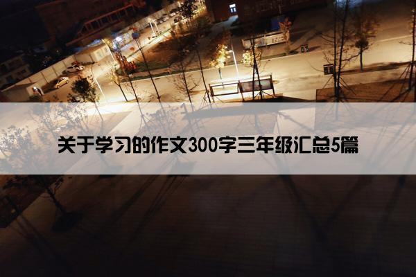 关于学习的作文300字三年级汇总5篇 关于学习的作文300字三年级汇总5篇
