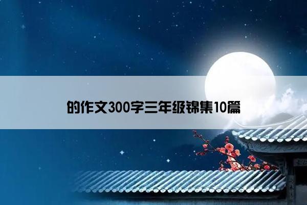 的作文300字三年级锦集10篇