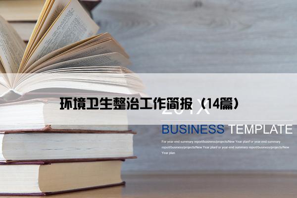 环境卫生整治工作简报（14篇）