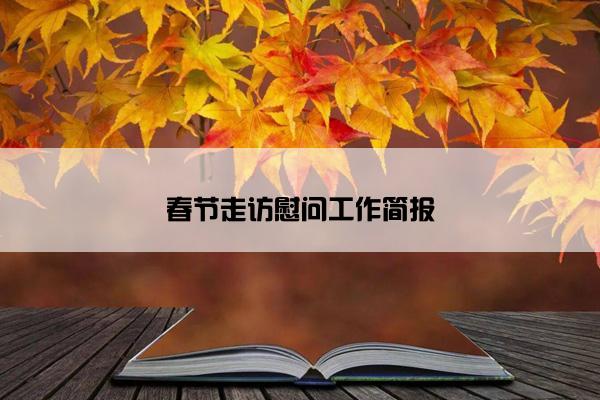 春节走访慰问工作简报