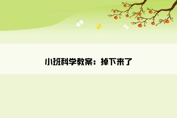 小班科学教案：掉下来了