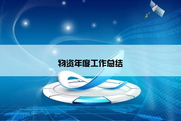 物资年度工作总结