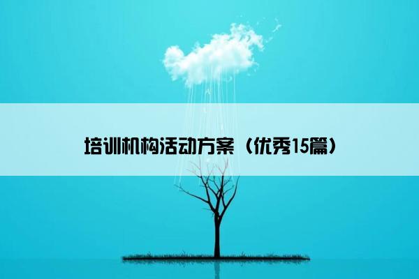 培训机构活动方案（优秀15篇）