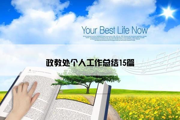 政教处个人工作总结15篇