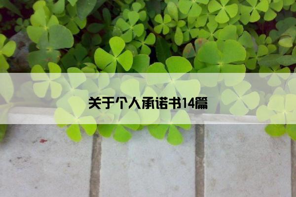 关于个人承诺书14篇