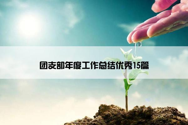 团支部年度工作总结优秀15篇