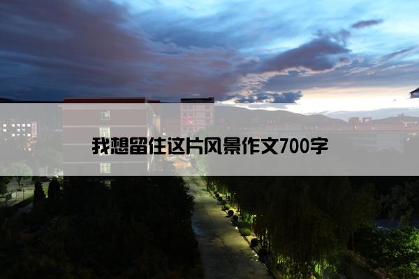 我想留住这片风景作文700字