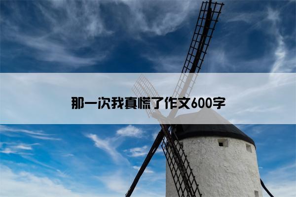 那一次我真慌了作文600字