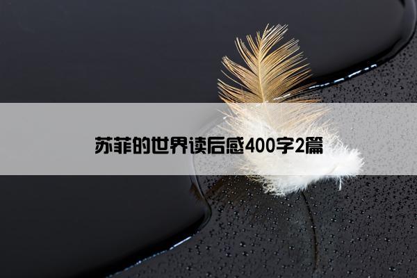 苏菲的世界读后感400字2篇