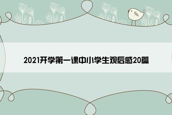 2021开学第一课中小学生观后感20篇