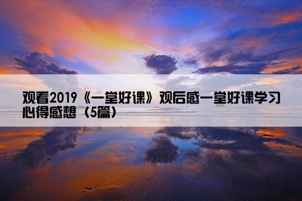 观看2019《一堂好课》观后感一堂好课学习心得感想（5篇）