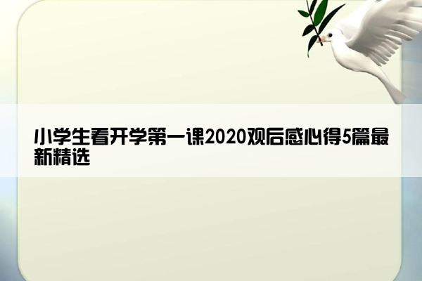小学生看开学第一课2020观后感心得5篇最新精选