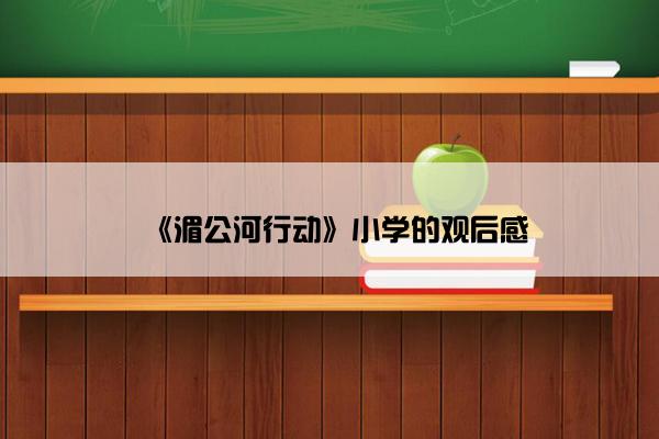 《湄公河行动》小学的观后感 《湄公河行动》小学的观后感