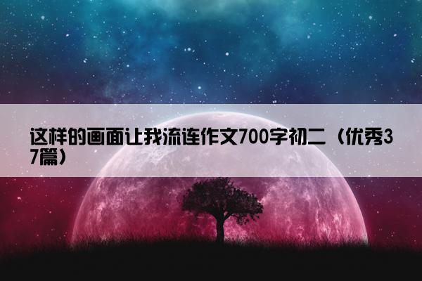 这样的画面让我流连作文700字初二（优秀37篇）