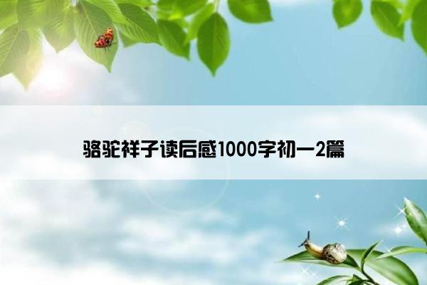 骆驼祥子读后感1000字初一2篇