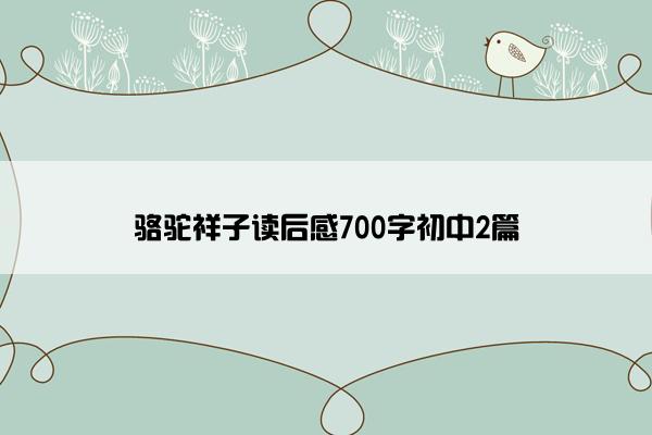 骆驼祥子读后感700字初中2篇