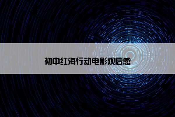 初中红海行动电影观后感