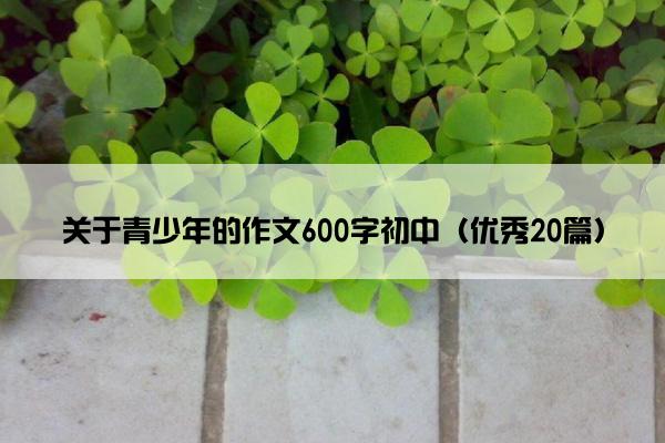 关于青少年的作文600字初中（优秀20篇）