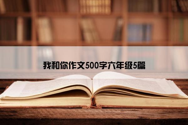 我和你作文500字六年级5篇