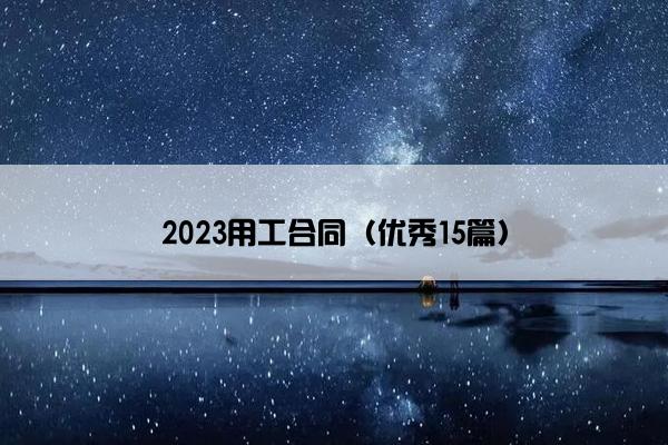 2023用工合同（优秀15篇）