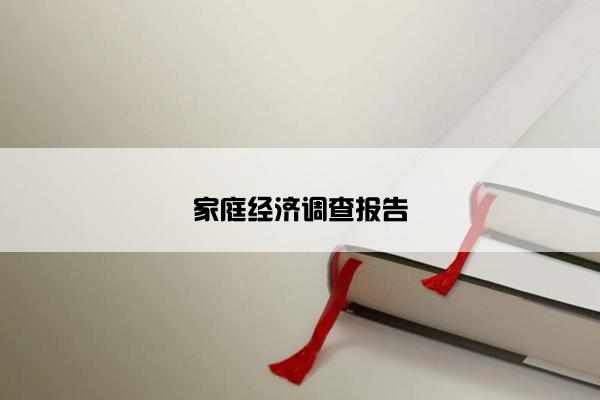 家庭经济调查报告