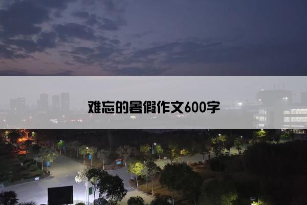 难忘的暑假作文600字