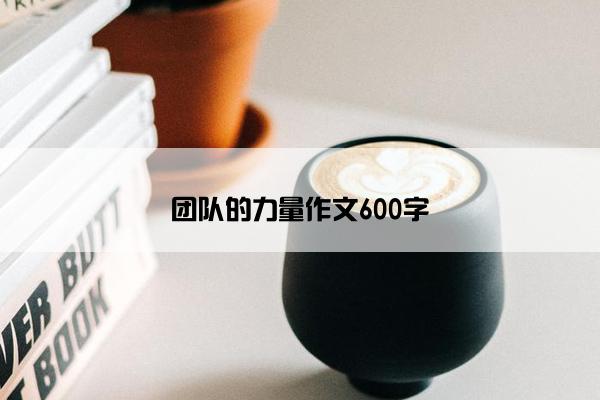 团队的力量作文600字