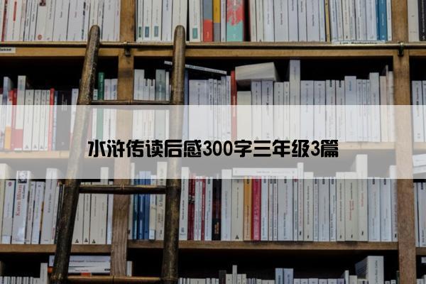 水浒传读后感300字三年级3篇