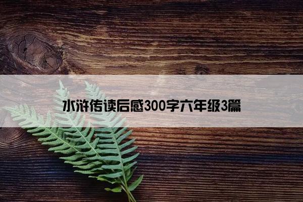 水浒传读后感300字六年级3篇