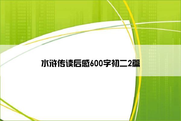 水浒传读后感600字初二2篇