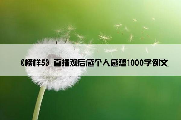 《榜样5》直播观后感个人感想1000字例文