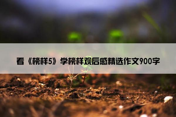 看《榜样5》学榜样观后感精选作文900字