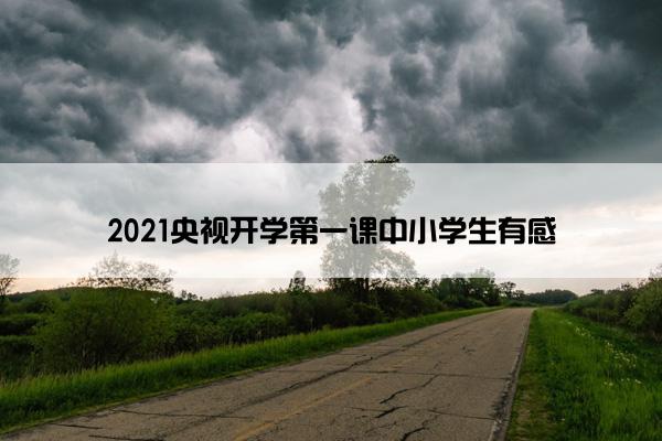 2021央视开学第一课中小学生有感