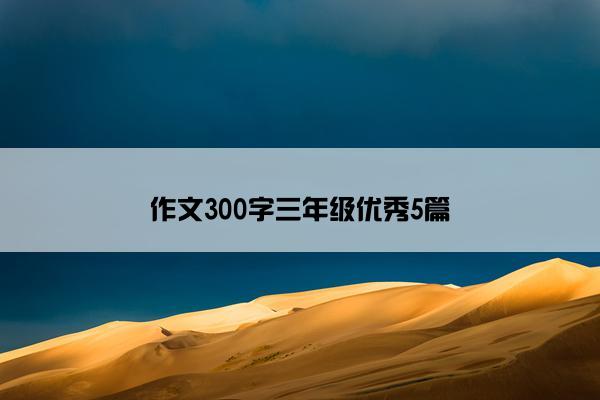 作文300字三年级优秀5篇