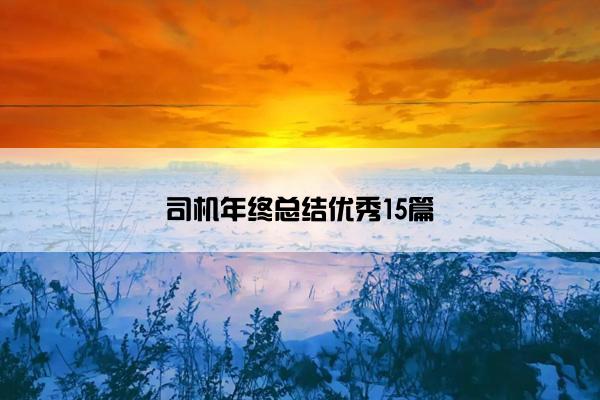 司机年终总结优秀15篇