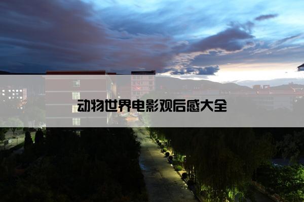 动物世界电影观后感大全